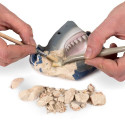 Loisirs créatifs pour enfants - National Geographic : Kit de fouille : dents de requin - Livraison rapide Tunisie