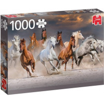 Puzzle 1000pcs - Chevaux désert
