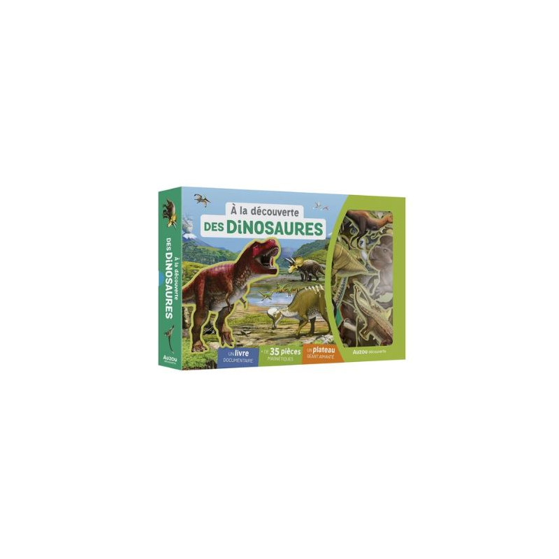 À LA DÉCOUVERTE DES DINOSAURES (Coffret magnétique) À LA DÉCOUVERTE DES DINOSAURES (Coffret magnétique)