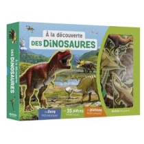 À LA DÉCOUVERTE DES DINOSAURES (Coffret magnétique)
