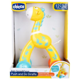 Push & Go Giraffe