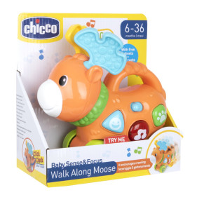 WALK ALONG MOOSE