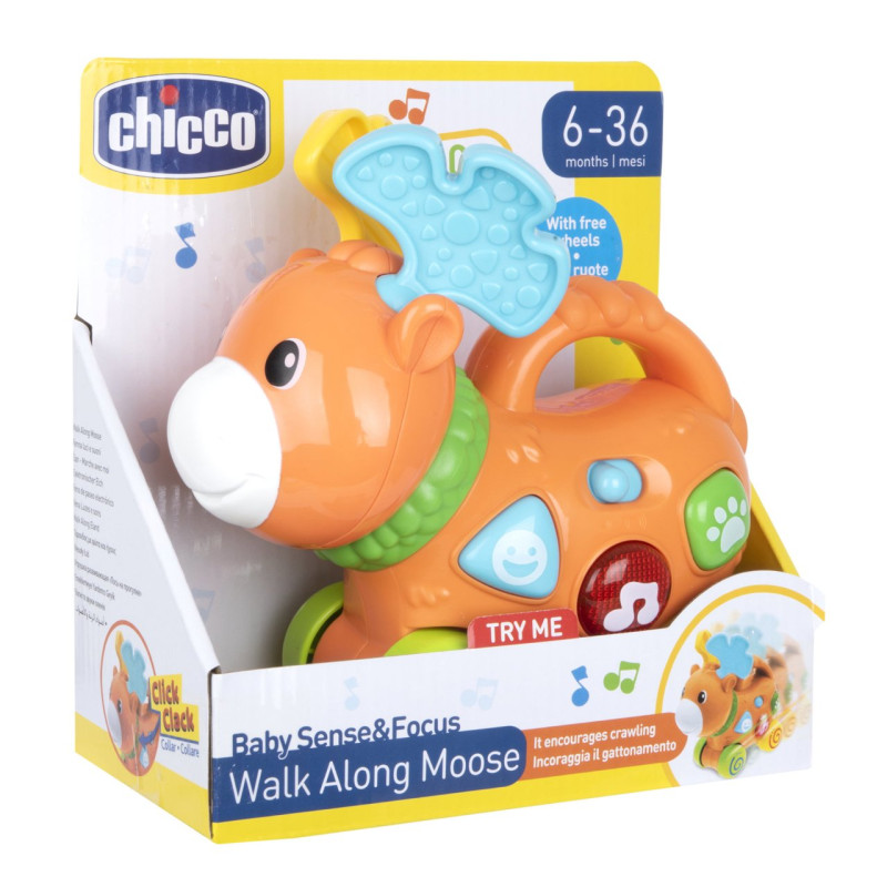 WALK ALONG MOOSE