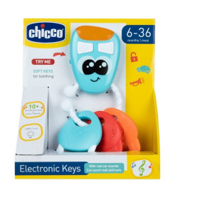 Electronic Keys