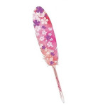 Accessoires et autres pour enfants - Feather Quill Pen Assortment - Livraison rapide Tunisie