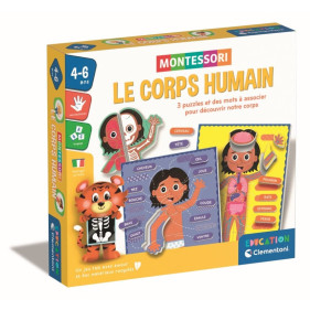 Montessori  - Le corps humain