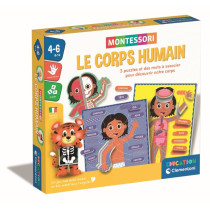 Montessori  - Le corps humain