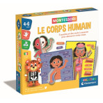 Jeux éducatifs pour enfants - Montessori - Le corps humain - Livraison rapide Tunisie