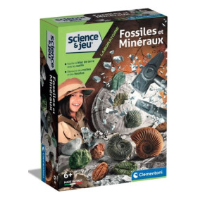 FOSSILES ET MINÉRAUX