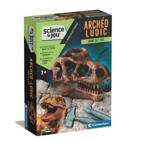 Coffret science - Crâne de T-Rex