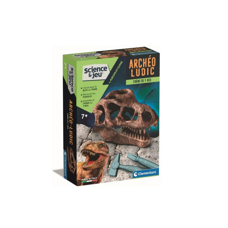 Coffret science - Crâne de T-Rex