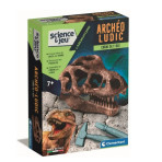 Loisirs créatifs pour enfants - Coffret science - Crâne de T-Rex - Livraison rapide Tunisie