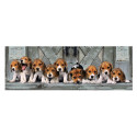 Puzzles pour enfants - Puzzle 1000 pièces - Beagles - Livraison rapide Tunisie