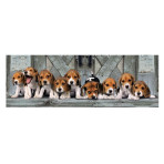 Puzzles pour enfants - Puzzle 1000 pièces - Beagles - Livraison rapide Tunisie