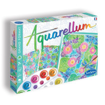 AQUARELLUM - VU DU CIEL