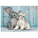 Puzzles pour enfants - Puzzle 500 pièces - CAT & BUNNY - Livraison rapide Tunisie
