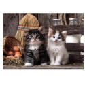 Puzzles pour enfants - Puzzle 1000 pièces - Lovely kittens - Livraison rapide Tunisie