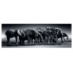 Puzzles pour enfants - Puzzle 1000 pièces Panorama - Herd of Giants - Livraison rapide Tunisie