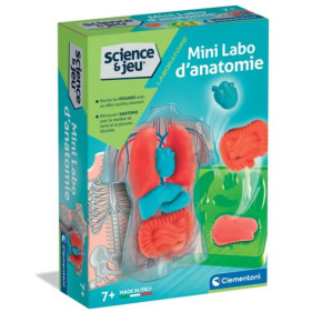 Science & Jeu Laboratoire : MINI Labo d'anatomie