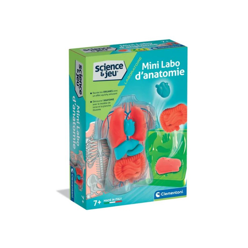 Science & Jeu Laboratoire : MINI Labo d'anatomie