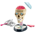 Loisirs créatifs pour enfants - Science & Jeu Laboratoire : Crazy Anatomy - Livraison rapide Tunisie