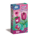 Loisirs créatifs pour enfants - Idea Clementoni : ID_SMALL FLOWERS_TULIPANO - Livraison rapide Tunisie