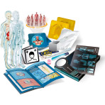 Loisirs créatifs pour enfants - Science et jeu - L'ANATOMIE - LE CORPS HUMAIN - Livraison rapide Tunisie