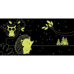 Livres pour enfants - Jour et Nuit - La forêt - Livraison rapide Tunisie