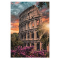 Puzzles pour enfants - Puzzle 500 pièces - Flavian Amphithéâtre - Livraison rapide Tunisie