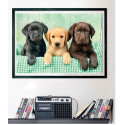 Puzzles pour enfants - Puzzle 1000 pièces - Trois Labrador - Livraison rapide Tunisie