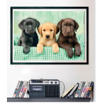 Puzzles pour enfants - Puzzle 1000 pièces - Trois Labrador - Livraison rapide Tunisie