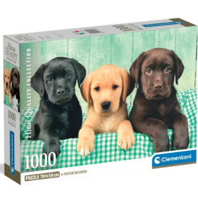 Puzzle 1000 pièces - Trois Labrador