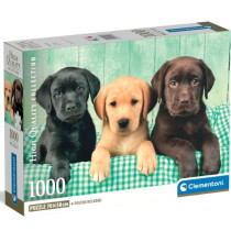 Puzzle 1000 pièces - Trois Labrador