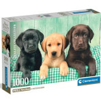 Puzzles pour enfants - Puzzle 1000 pièces - Trois Labrador - Livraison rapide Tunisie