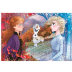 Puzzles pour enfants - Puzzle Maxi : FROZEN 2 - PUZZLE 60 PIECES MAXI - Livraison rapide Tunisie
