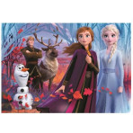Puzzles pour enfants - Puzzle 104 pcs - FROZEN 2 - PUZZLE 104 PIÈCES - Livraison rapide Tunisie