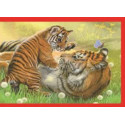 Puzzles pour enfants - Puzzle 4 in 1 : PUZZLE NOLI BABY CUDDLES - Livraison rapide Tunisie