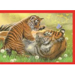 Puzzles pour enfants - Puzzle 4 in 1 : PUZZLE NOLI BABY CUDDLES - Livraison rapide Tunisie