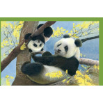 Puzzles pour enfants - Puzzle 4 in 1 : PUZZLE NOLI BABY CUDDLES - Livraison rapide Tunisie