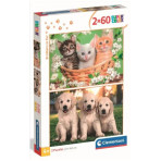 Puzzles pour enfants - PUZZLE 2X60 - NOLI BROTHERS - Livraison rapide Tunisie