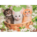 Puzzles pour enfants - PUZZLE 2X60 - NOLI BROTHERS - Livraison rapide Tunisie