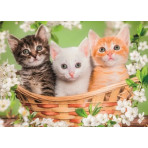 Puzzles pour enfants - PUZZLE 2X60 - NOLI BROTHERS - Livraison rapide Tunisie