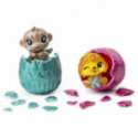 Jeux d'imagination pour enfants - Hatchimals Colleggtibles 2 figurines + Socle Saison 6 - Livraison rapide Tunisie