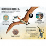 Maquettes 3D pour enfants - Maquette Dinosaure - Pteranodon 3D - Livraison rapide Tunisie