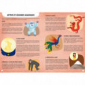 Puzzles pour enfants - Puzzle silhouette - Le monde des mythes et des légendes - Livraison rapide Tunisie